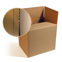 carton-simple-canelurepng_508327962